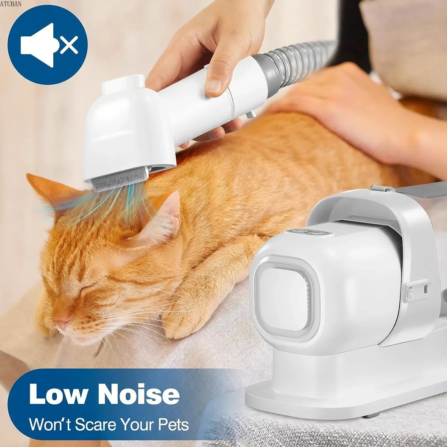 Aspirateur de Toilettage pour Chien – Kit Complet, Réservoir 2.3L, Silencieux